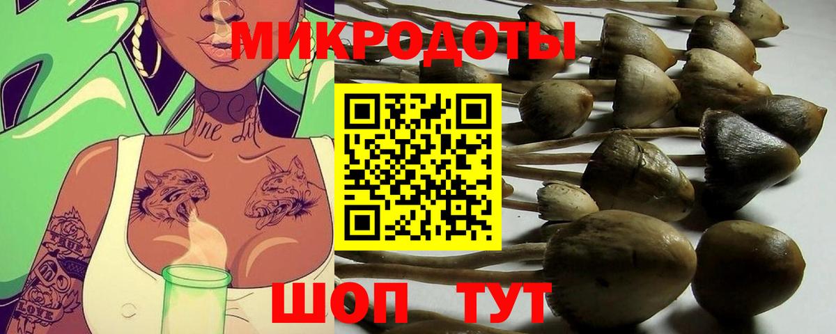 Галлюциногенные грибы прущие грибы  Галлюциногенные грибы GOLDEN TEACHER  Полысаево  Вход с VPN 